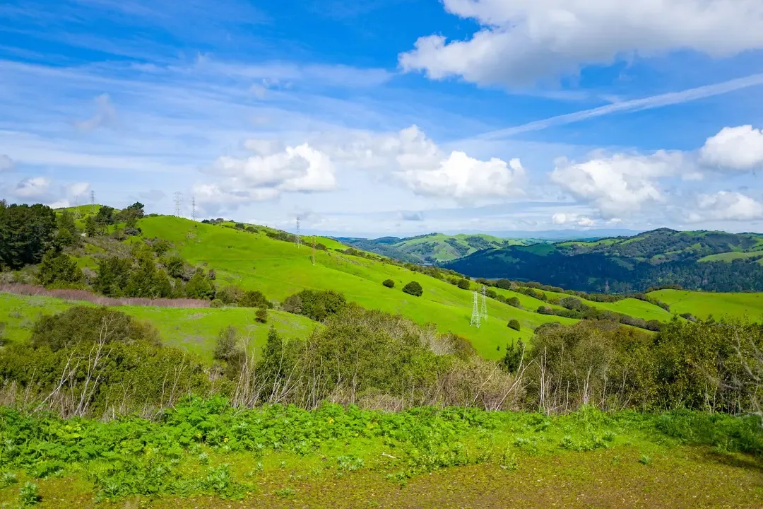 Commercial Roof Repair in Orinda