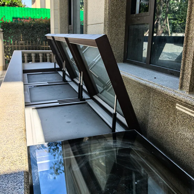 Skylight and Penetration Flashing in Berkeley, CA